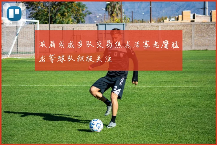 浓眉或成多队交易焦点活塞老鹰猛龙等球队积极关注