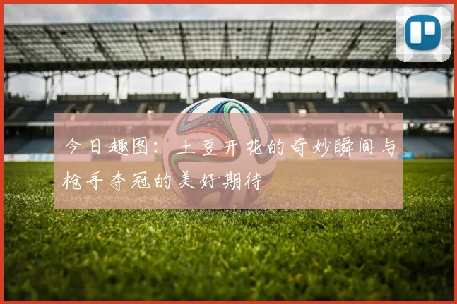 今日趣图：土豆开花的奇妙瞬间与枪手夺冠的美好期待