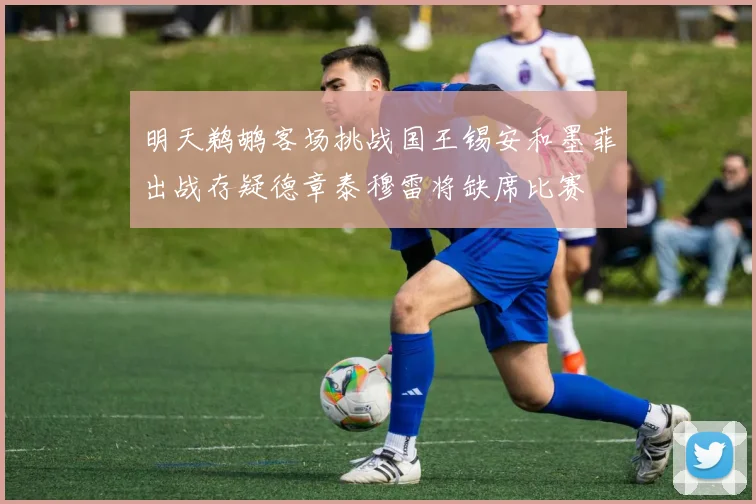 明天鹈鹕客场挑战国王锡安和墨菲出战存疑德章泰穆雷将缺席比赛