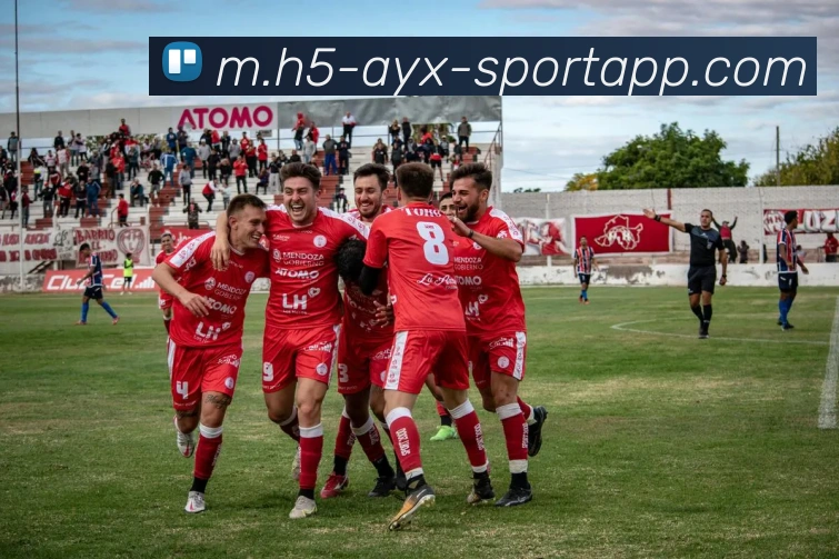 爱游戏体育平台生态图