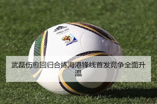 武磊伤愈回归合练海港锋线首发竞争全面升温（ayx）